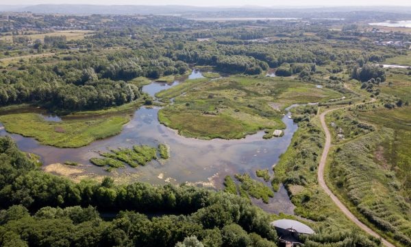 Freshwater Millennium wetlands, credit WWT