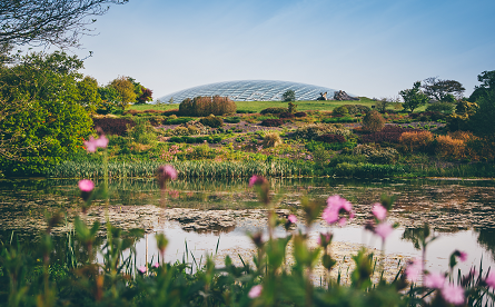 Record Visitor Figures for National Botanic Garden of Wales