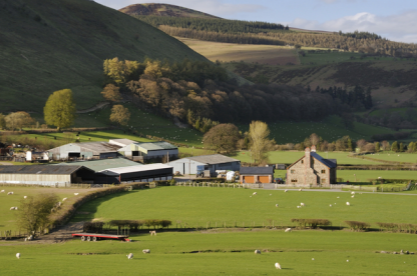 Wales’ Farming Businesses Could Apply for Capital Works Scheme with £1.5m Budget