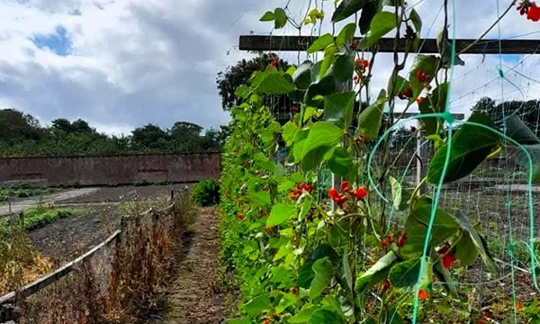 Growers2 food farming