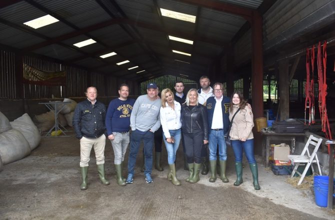 European Food Industry Insiders Experience Welsh Farming