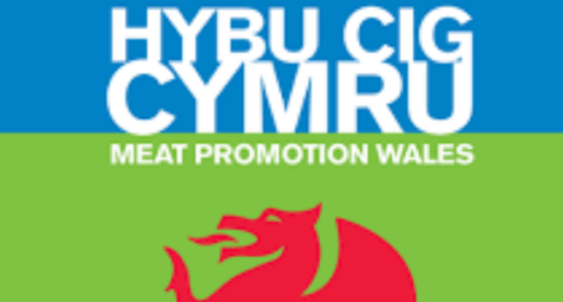 New Board Appointments for Hybu Cig Cymru