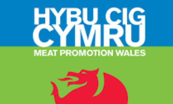 New Board Appointments for Hybu Cig Cymru