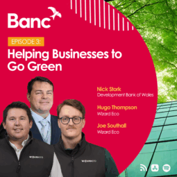 Helping Businesses to Go Green - db ep3