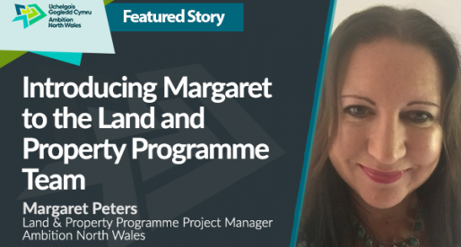 Introducing Margaret to the Land and Property Programme Team
