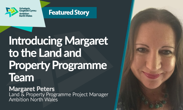 Introducing Margaret to the Land and Property Programme Team
