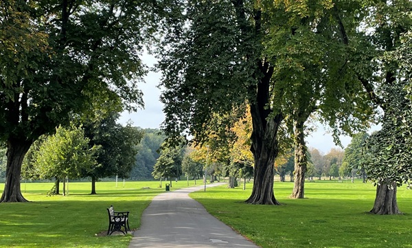 JG3 landscape