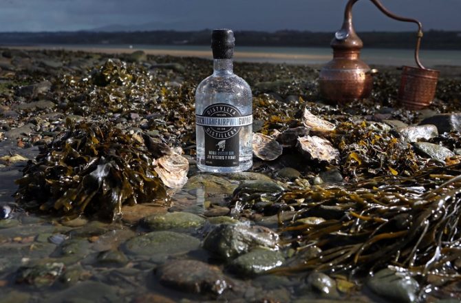 New Menai Oyster Gin is the Perfect Combination