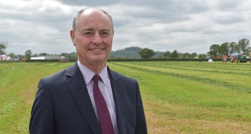 Relief for Welsh Farming as No-Deal ‘Tragedy’ Avoided
