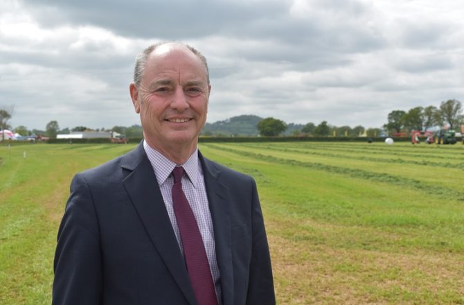 Relief for Welsh Farming as No-Deal ‘Tragedy’ Avoided