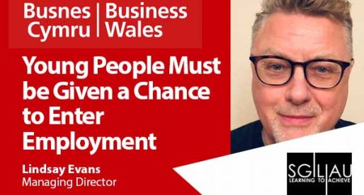 How a Welsh Government-Funded Recruitment Scheme Allowed Sgiliau to Build Their Business