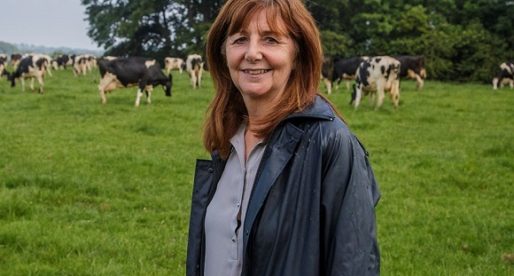£66m Funding Made Available as Key Agricultural Schemes Extended