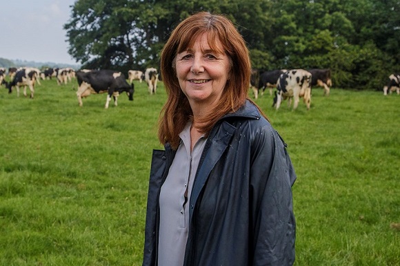 Thousands of Welsh Farms to Receive Early Payment Support