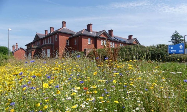 Llanion Park HQ