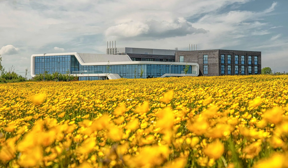 M-SParc in bloom