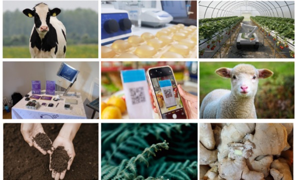 Mid and North Wales Collaborative Research & Development projects ENG2 tn