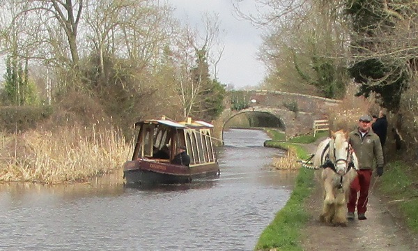 Appeal to Horse-lovers and Boat-lovers to Continue Horses-drawn Boat Trips