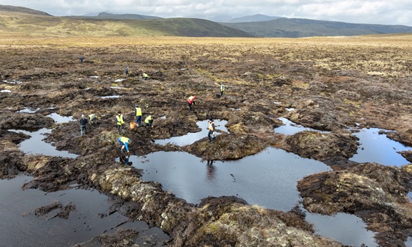Restoration of the peat bog on the Migneint, Ysbyty Ifan estate viewd from the air