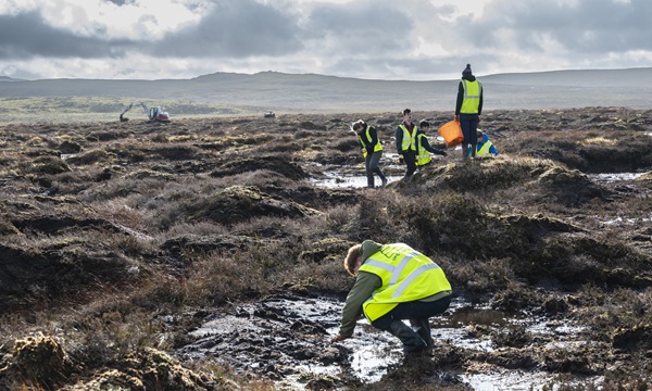 Volunteers planting Sphagnum moss on the Migneint, Ysbyty Ifan estate
