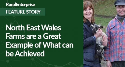 North East Wales Farms are a Great Example of What can be Achieved