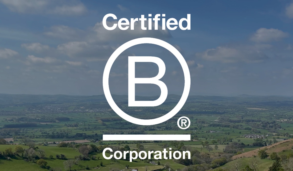P+A - B Corp - We are now Certified SQ