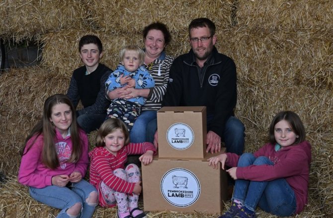 New Sustainable Pembrokeshire Lamb Enterprise Ticks the Right Boxes