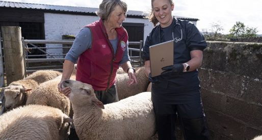 New Welsh Animal Project Launched to Combat Antibiotic Resistance