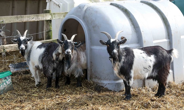 Platts Agriculture Agri-cation's base at Hollybush Lane, Bangor-on-Dee. Platts Group supporting the work of Agri-cation