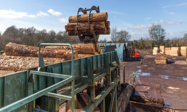 Premier Forest Products and SDL Solutions Agreement Secures Long Term Timber Products Supply