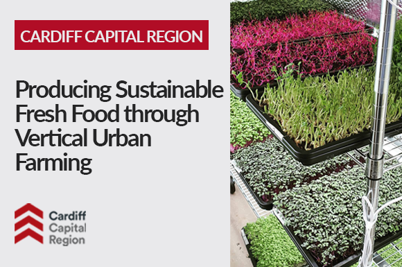 Producing Sustainable Fresh Food Through Vertical Urban Farming