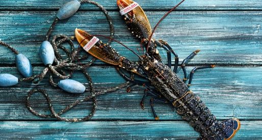 Welsh Seafood to Take to The International Stage at Global Event
