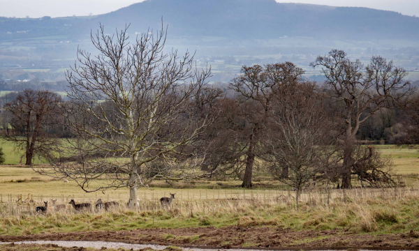 Renovation Work Underway at Bodelwyddan Park