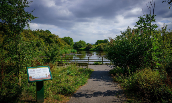 Rhuddlan Reserve