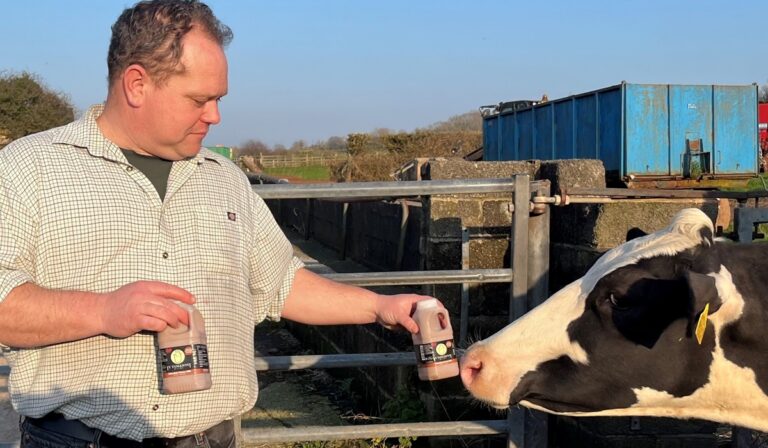 Farms Diversify into Food and Drink Production Thanks to Support from Welsh Government Funded Programme