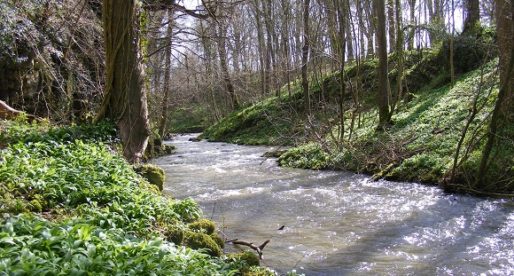 S&TC’s SmartRivers to Monitor Water Quality on River Alyn