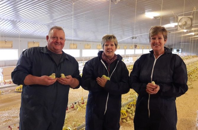 £190,000 Expansion Plan Funding for Monmouthshire Poultry Farm