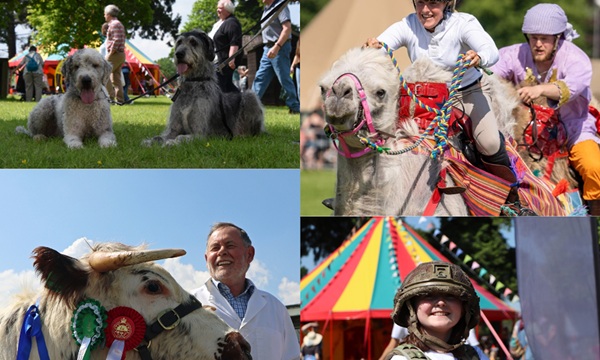Royal Welsh Spring Fest copy