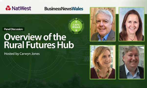 Overview of the Rural Futures Hub