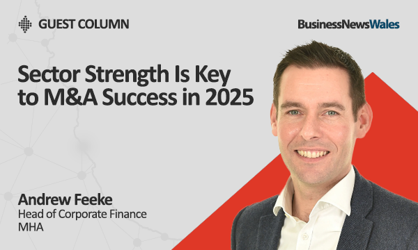 Sector Strength Is Key to M&A Success in 2025