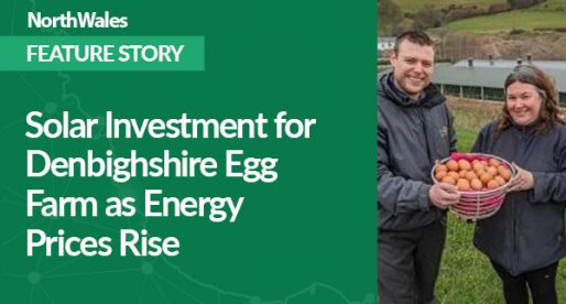 Solar Investment for Denbighshire Egg Farm as Energy Prices Rise