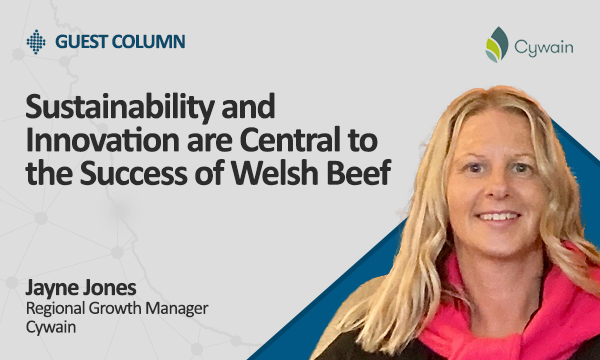 Sustainability Innovation are Central to the Success of Welsh Beef