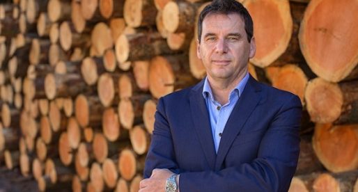Newport-based Timber Group Eyeing Significant Growth in 2022