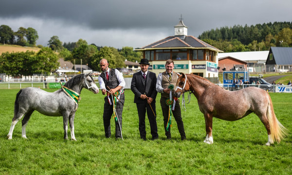 Entries Now Open For The 2023 RWAS Smallholding And Countryside Festival