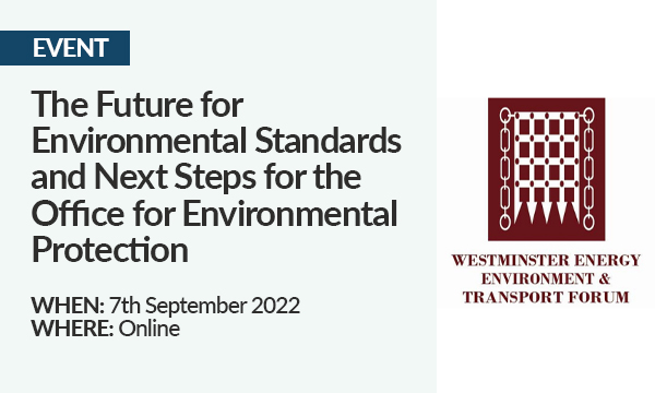 The Future for Environmental Standards and Next Steps for the Office for Environmental Protection