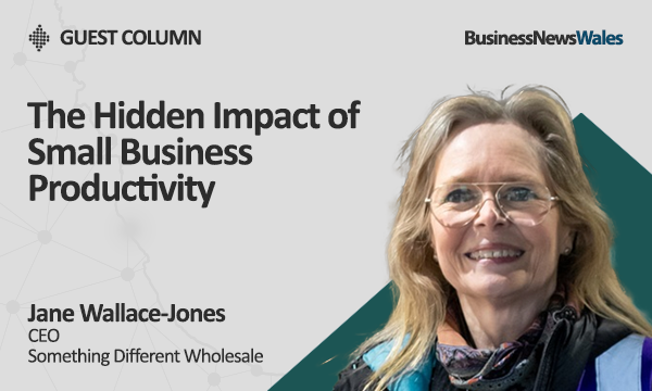 The Hidden Impact of Small Business Productivity - economy