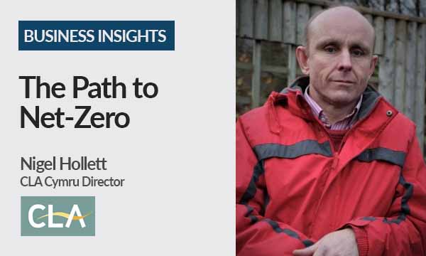 The Path to Net-Zero