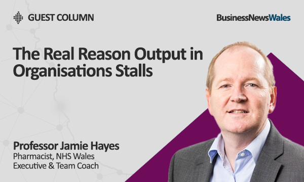 The Real Reason Output in Organisations Stalls - skills