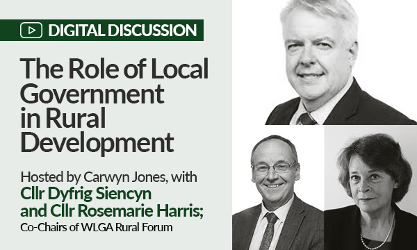 The Role of Local Government in Rural Development