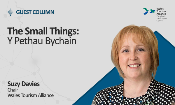 The Small Things – Y Pethau Bychain