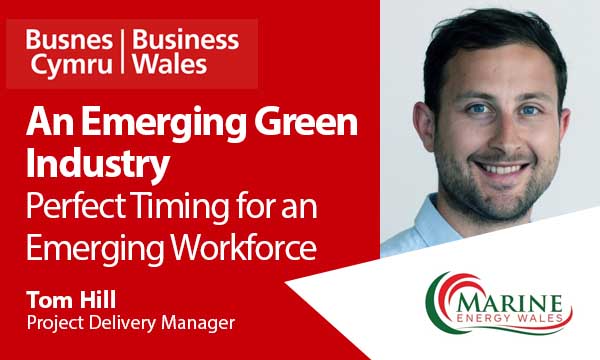 An Emerging Green Industry – Perfect Timing for an Emerging Workforce
